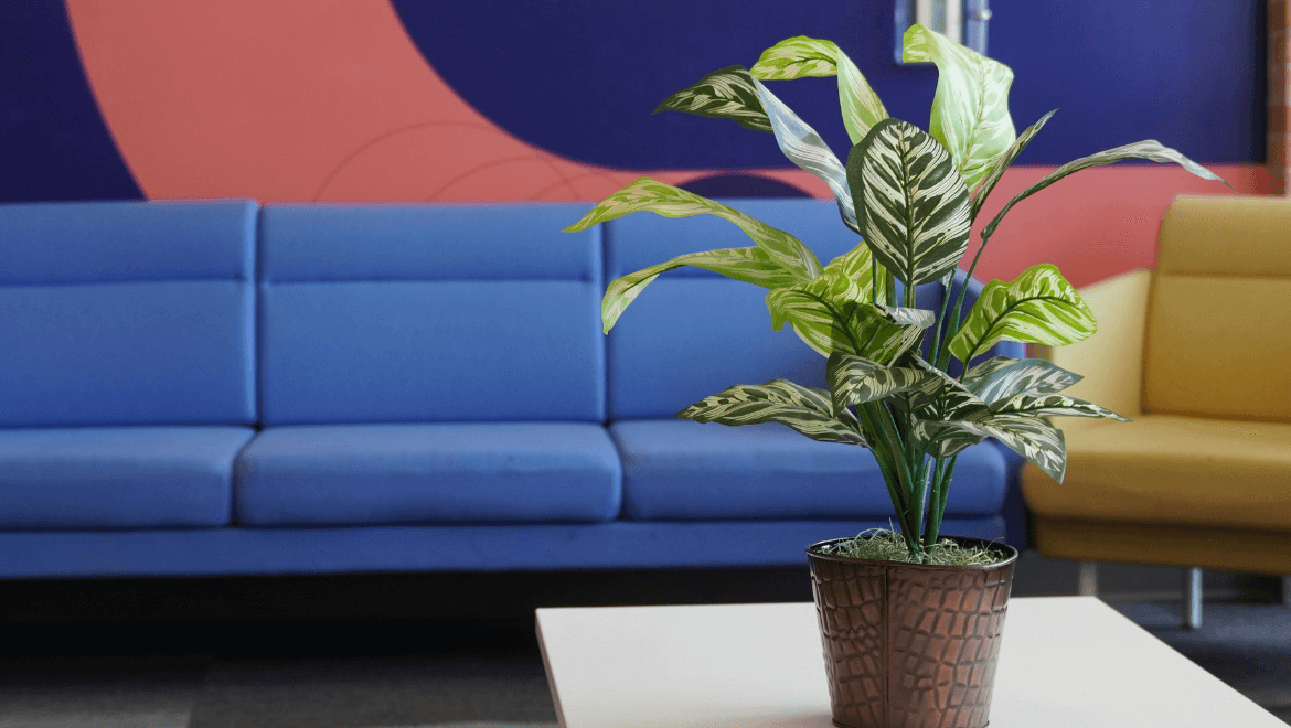 What Is Your Plant Trying to Tell You?